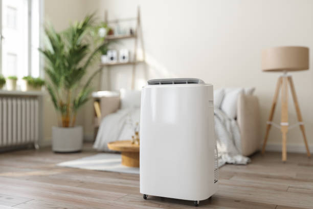 Best HVAC Air Duct Cleaning  in Siesta Key, FL